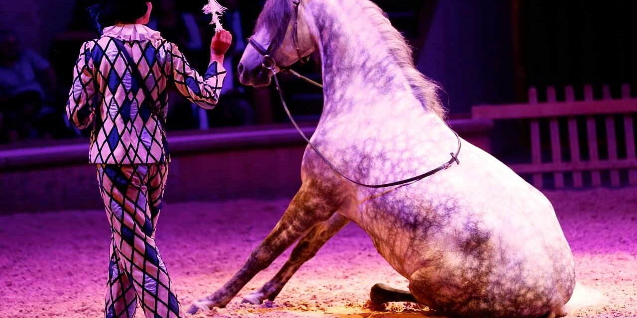 Cheval-reve-Copyright-RB-Presse