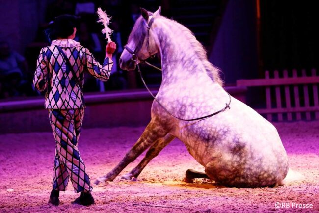 Cheval-reve-Copyright-RB-Presse