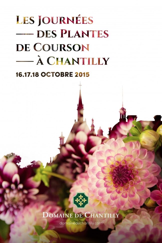 Plantes de courson Octobre