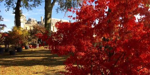 Sortir à Chantilly cet automne