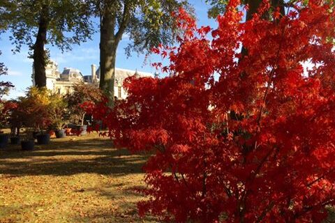 Sortir à Chantilly cet automne
