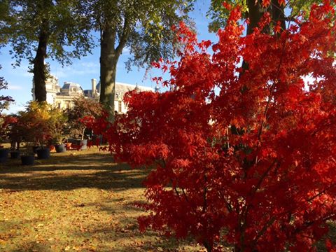 SORTIR_A_CHANTILLY_CET_AUTOMNE Sortir à Chantilly cet automne